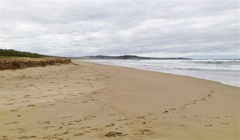 Seven Mile Beach National Park Learn More Nsw National Parks