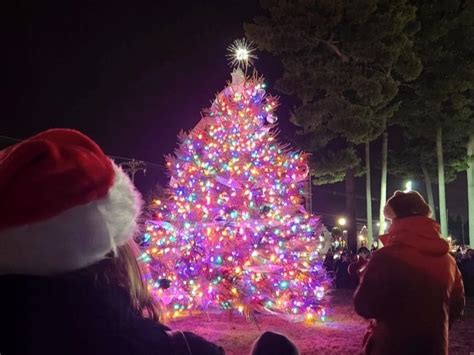 Newarks Annual Tree Lighting Festivities This Friday Newark Ca Patch