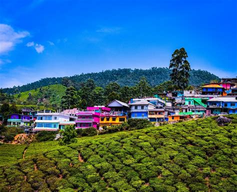 30 Places To Visit In Munnar Munnar Tourist Places And Nearby Spots