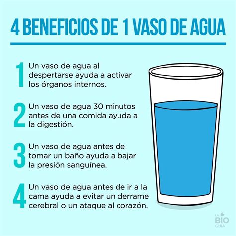 1 Vaso De Agua Beneficios De Tomar Agua Beneficios Del Agua Hot Sex Picture