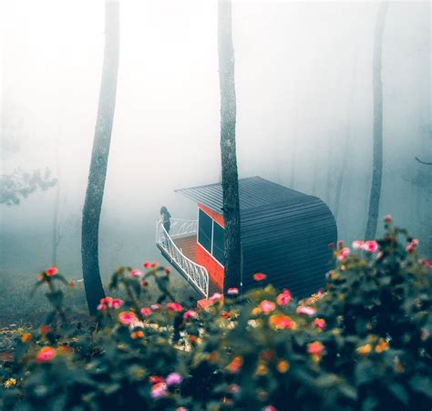 Wisata outbound ini sangat pas dilakukan di daerah pegunungan karena udaranya yang sejuk, hal 4. Wisata Pegunungan Sejuk di Jawa Timur untuk Liburan Jelang ...