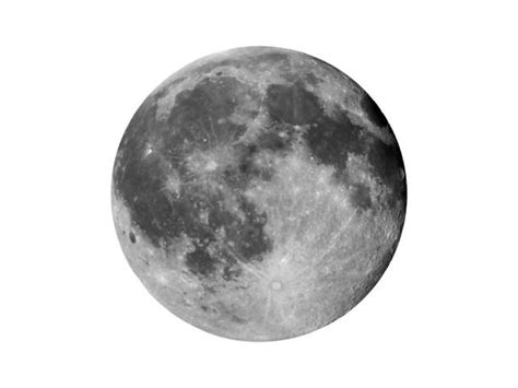 Moon On White Stock Photos Pictures And Royalty Free Images Istock