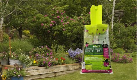 Enter To Win A Mid Summer Garden Giveaway