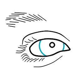 In this step by step lesson, learn how to draw cartoon eyes! Drawing cartoon eyes