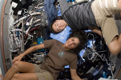 Astronauts Taller After Time Orbiting In Microgravity Environment Nasa