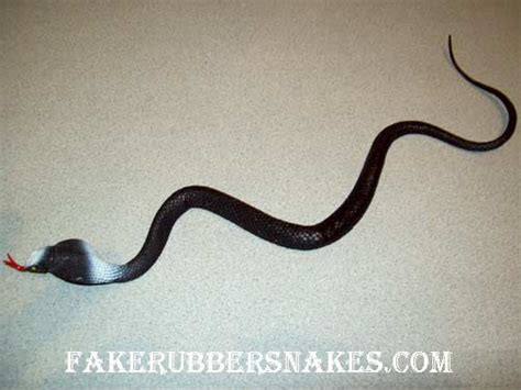 Medium Straight Cobra Fake Snake