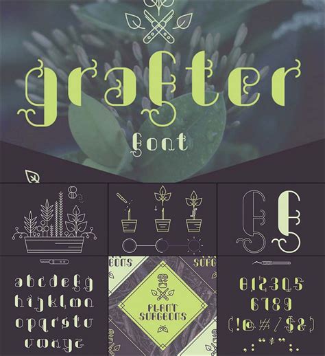 Grafter Botanic Font Free Download