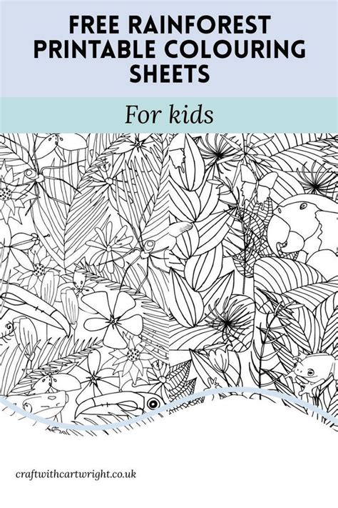 Check spelling or type a new query. FREE rainforest printable colouring sheets - Craft with ...