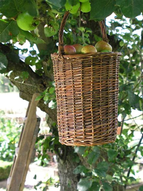 Buy Fruit Picking Basket — The Worm That Turned Revitalising Your