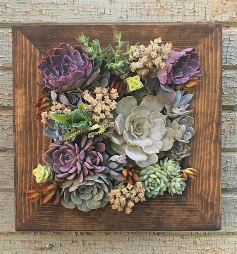 Easy chair planter with succulents and lavender. 12x12 Living Wall Succulent Planter Vertical