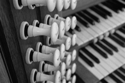 Organ Pipes Free Stock Photo Freeimages