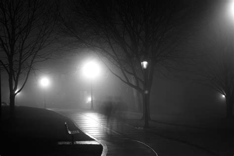 Free Images Snow Black And White Fog Mist Night Morning