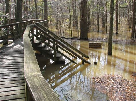 The Flooded Boardwalk In Congaree National Park Us Geological Survey