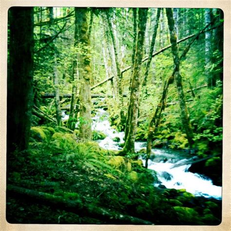 Check spelling or type a new query. Goody Gumdrop: Hamma Hamma Means Stinky Stinky in Salishan