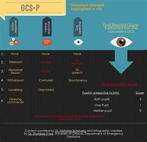 Glasgow Coma Scale Pupil Size Chart