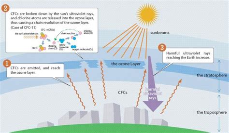 The Ozone Hole
