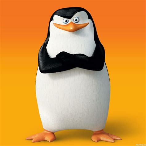 Create Meme Penguin Skipper The Penguins Of Madagascar The Penguins