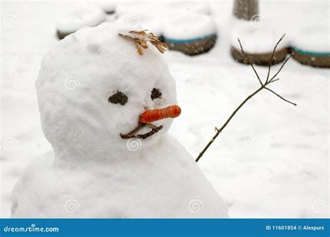 Funny Snowman With Carrot Nose Stock Photo Image Of Yellow Color