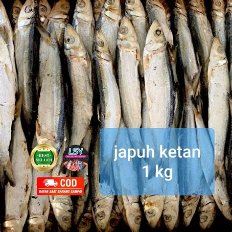 Jual Ikan Asi Japuh Ketan 1kg Di Lapak Ikan Asin Lsy Bukalapak