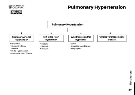 Pulmonary Hypertension Blackbook Blackbook