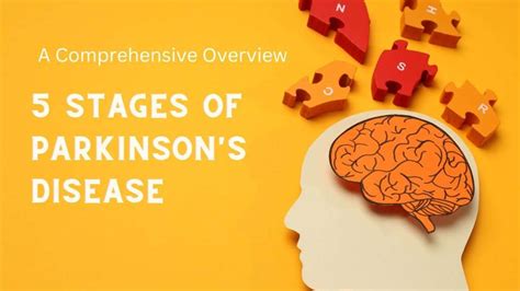 Navigating 5 Stages Of Parkinsons Disease A Comprehensive Overview
