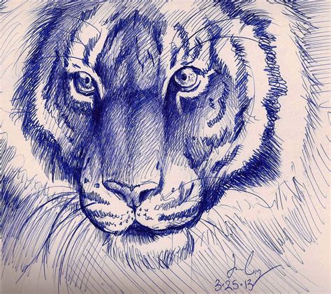Tiger Pen Sketch By Sketcher Pen Sketch Ballpoint Pen Art