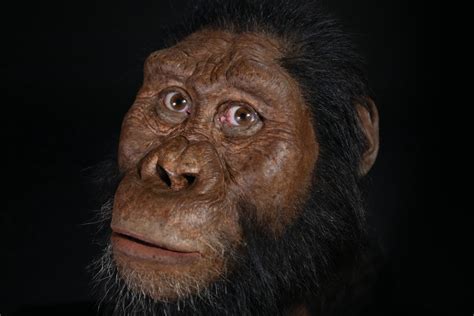Face of oldest human ancestor comes into focus with new fossil skull ...