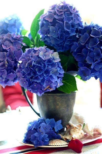 Bright Blue Hydrangeas Hydrangea Arrangements Blue Hydrangea Bouquet