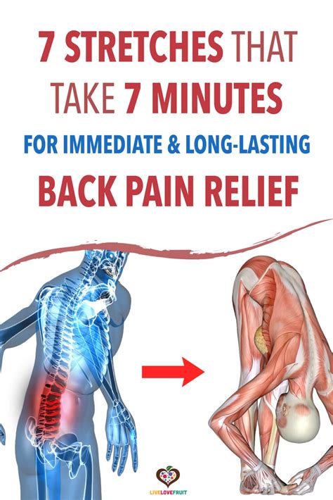 How To Relive Lower Back Pain Antiasl
