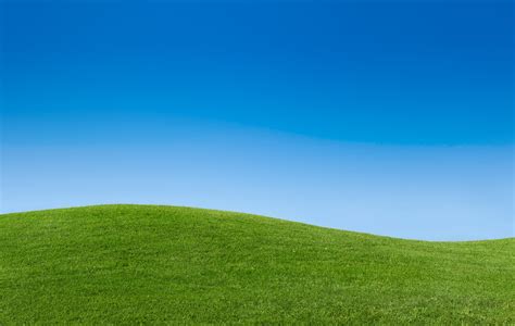 Green Grass With A Blue Sky Wallpaper Free Photo 93058