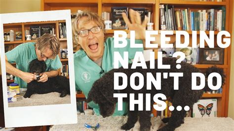 If you have not discovered them yet, they usually grow in trees and can be found in large quantities around the starting clan area. How To Quickly Stop a Bleeding Nail - YouTube