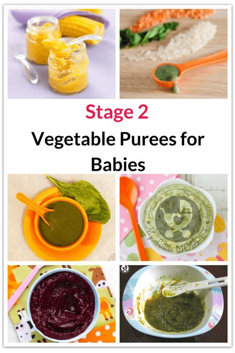 A variety of cooked vegetables cut into small, ½ inch pieces, such as squash and green beans. 20 Quick and Easy Vegetable Purees for Babies | Baby food ...
