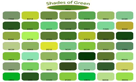 Shades Of Green Color Isolated On White Background Green Tones And