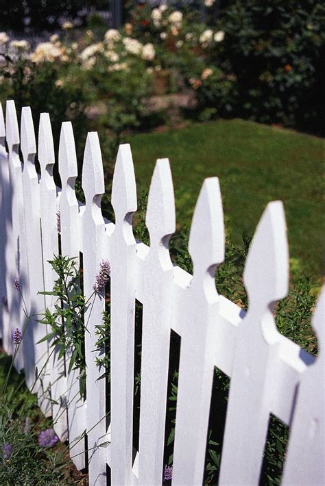 The Sunny Side Of Life 17 White Picket Fences