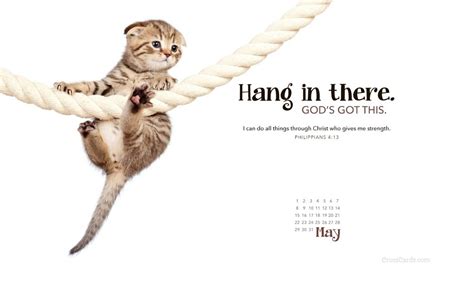 Download Hang In There Cat Wallpaper Hd Backgrounds Download Itlcat