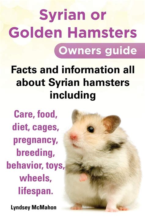 Syrian Hamster Facts Ubicaciondepersonascdmxgobmx