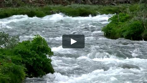 Trailer For An Upcoming Documentary About Svartá River On Vimeo