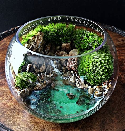 A Tropical Seascape Scene Is Planted Using Live Mosses Housed In A