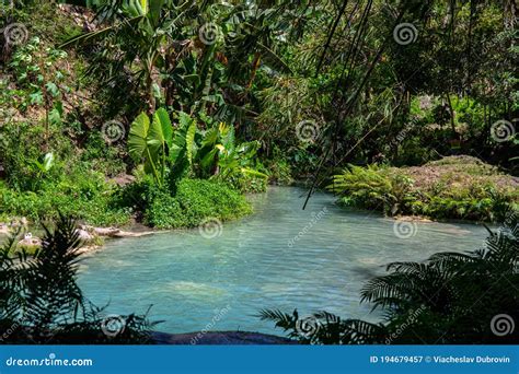 Tropical River With Fresh Water Closeup Photo Fresh Lake In Green
