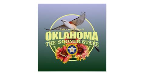 Oklahoma State Bird And Flower Poster Zazzle