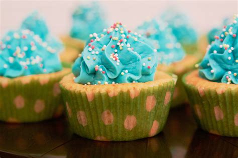 Free Images Sweet Flower Celebration Food Green Blue Cupcake