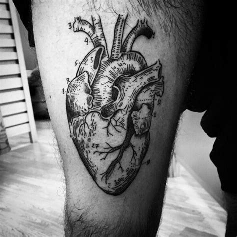 110 Best Anatomical Heart Tattoo Designs And Meanings