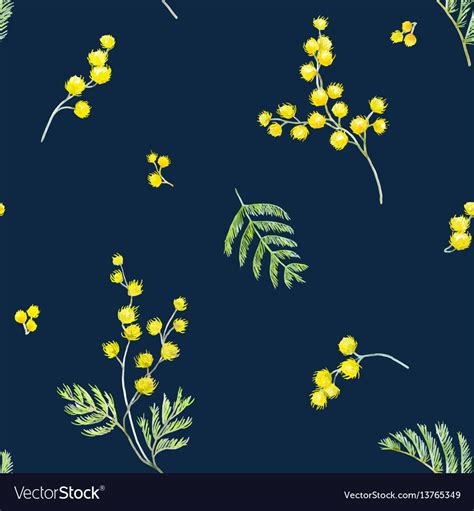 Watercolor Mimosa Pattern Royalty Free Vector Image