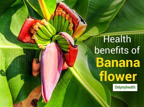 How To Use The Banana Flower For Diabetes Onlymyhealth