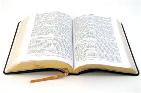 Cuántos libros tiene la Biblia Como Funciona Que