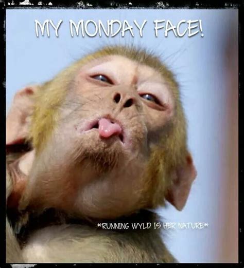 My Monday Face Monday Good Morning Monday Quotes Happy Monday Monday