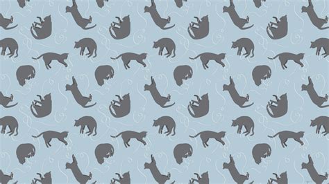 Cute Cat Pattern Wallpapers Top Free Cute Cat Pattern Backgrounds
