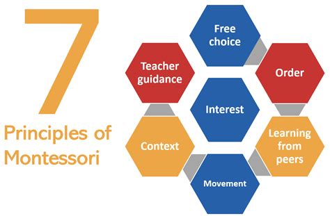 What Is Montessori Seven Principles The Montessori School Of Mallorca