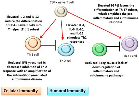 Jcm Free Full Text New Insights In Autoimmune Hemolytic Anemia