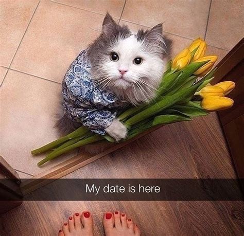 The Best Flowers Memes Memedroid